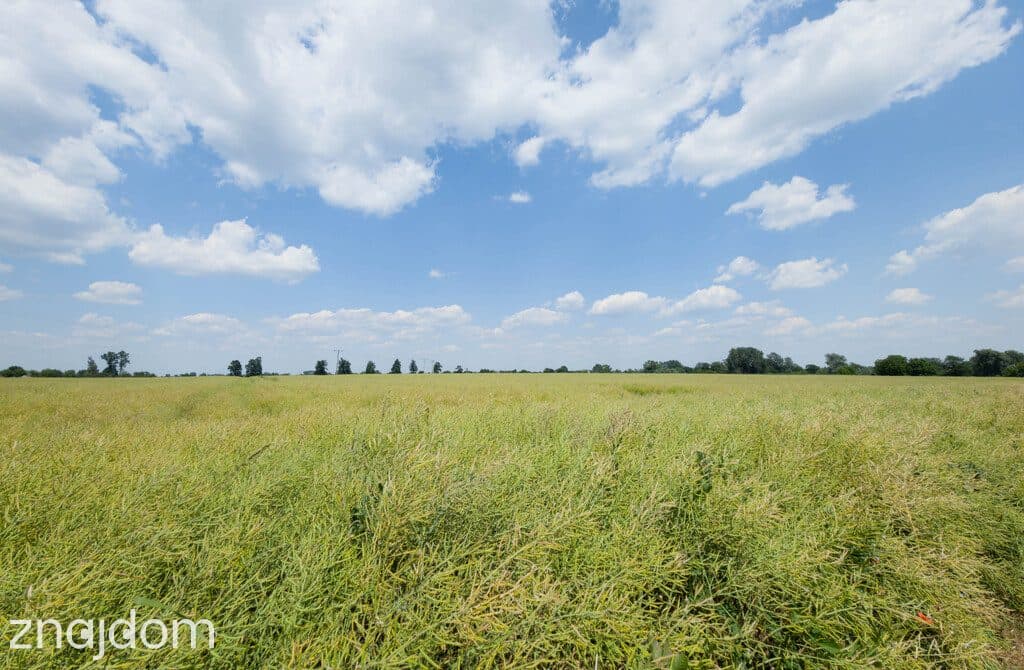Działka 1140 m² Przeworsk ul. Korczaka – MPZP