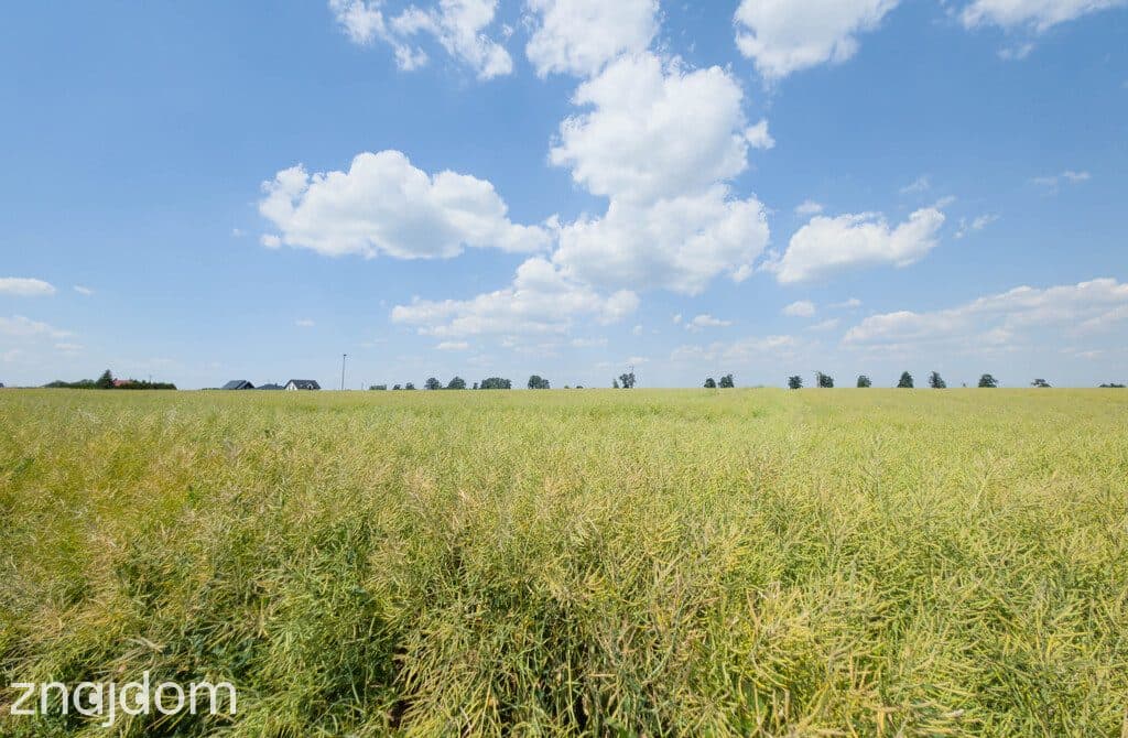 Działka 1140 m² Przeworsk ul. Korczaka – MPZP - zdjęcie 7