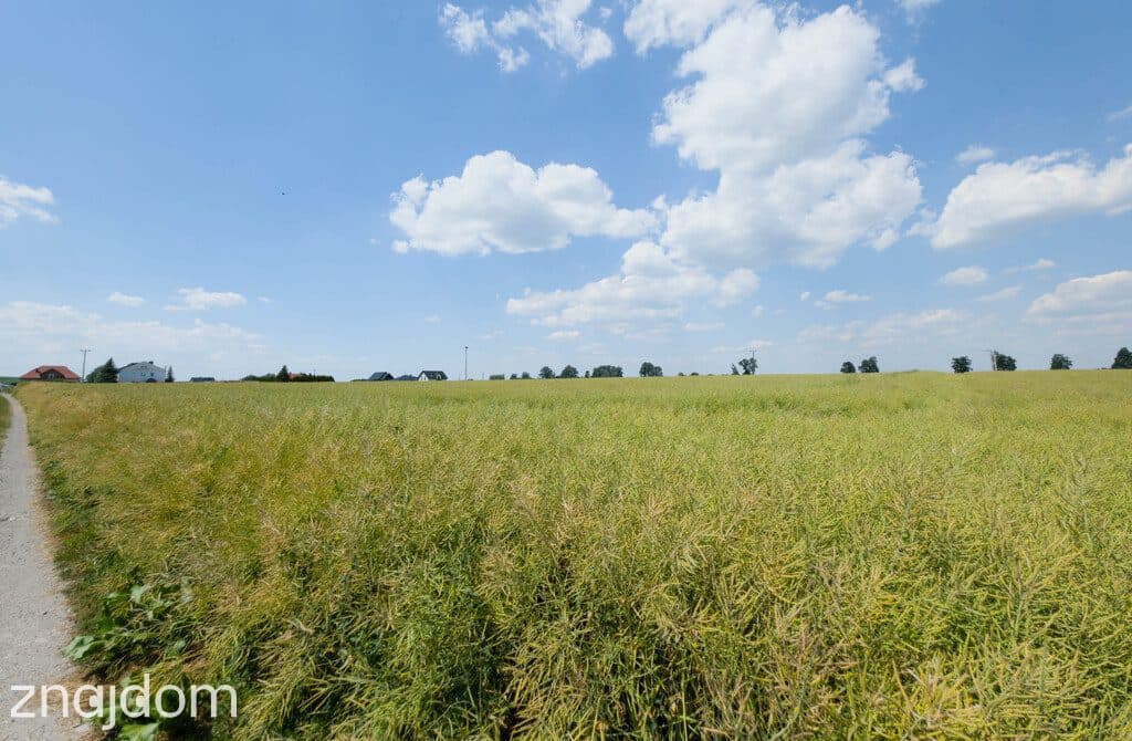 Działka 1140 m² Przeworsk ul. Korczaka – MPZP - zdjęcie 9
