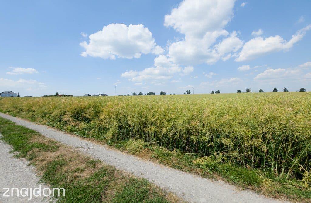 Działka 1140 m² Przeworsk ul. Korczaka – MPZP - zdjęcie 10