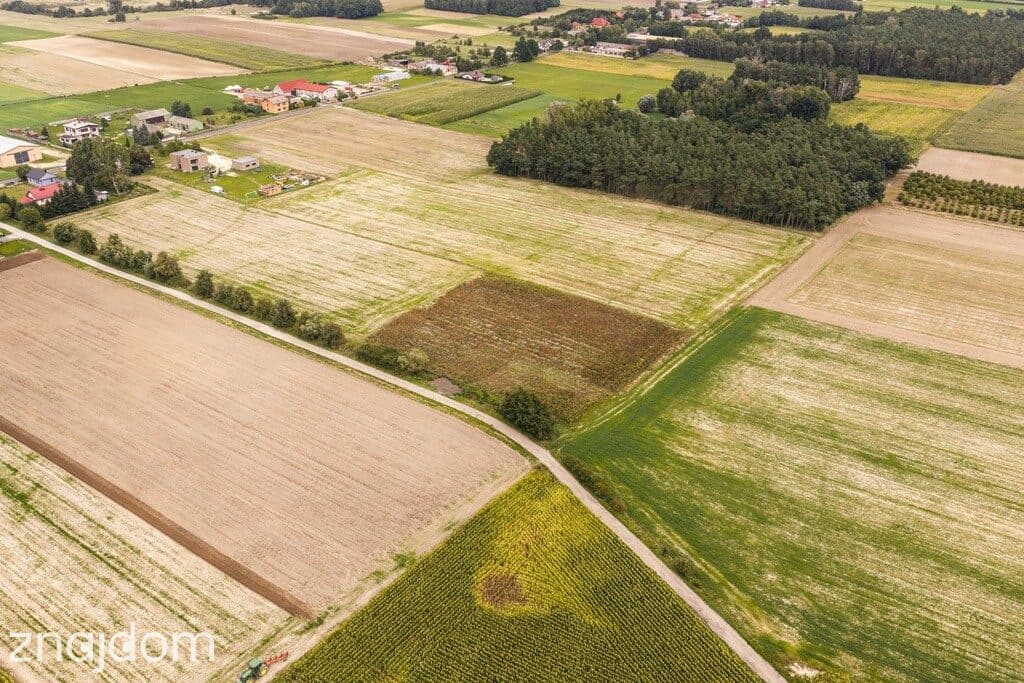 Działka budowlana Dobra Nadzieja - zdjęcie 4