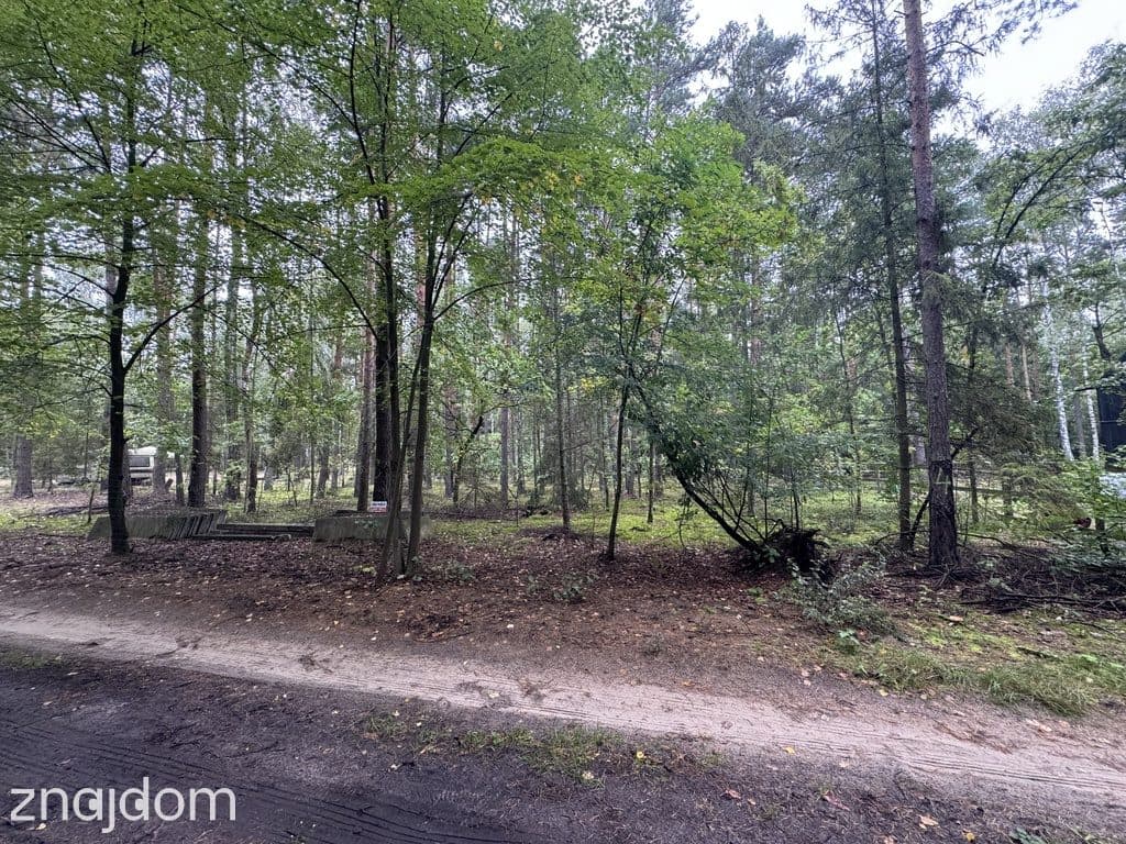 Twoje prywatne grzyby Działka 1993 m² Nowy Adamów - zdjęcie 3