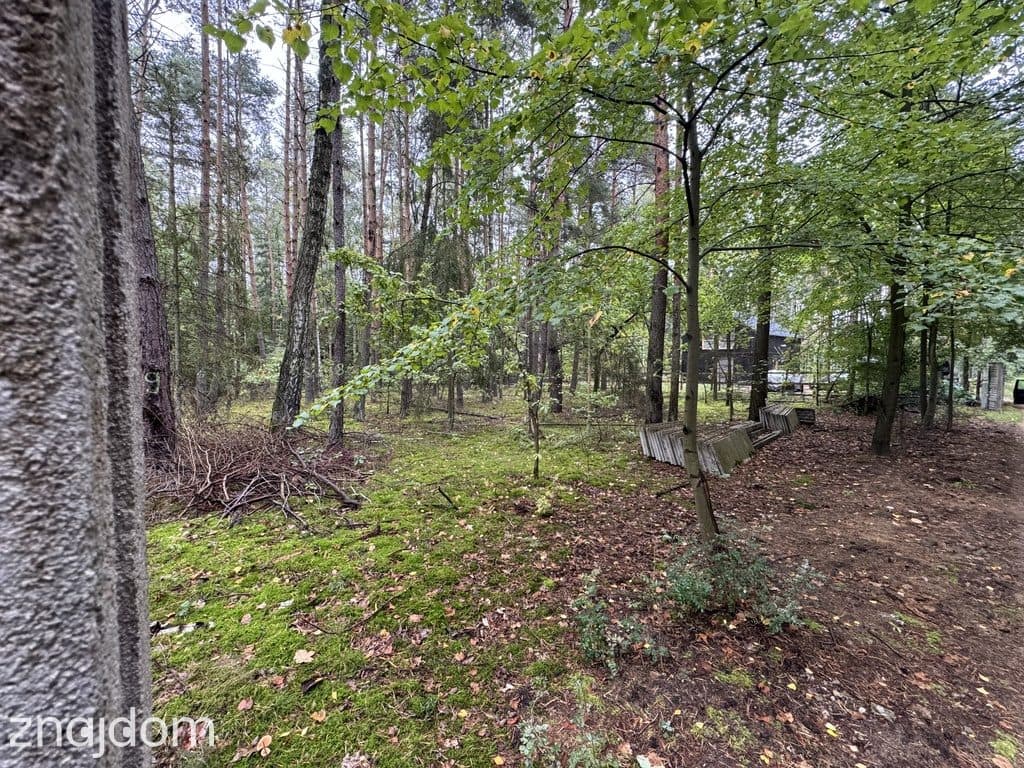 Twoje prywatne grzyby Działka 1993 m² Nowy Adamów - zdjęcie 4
