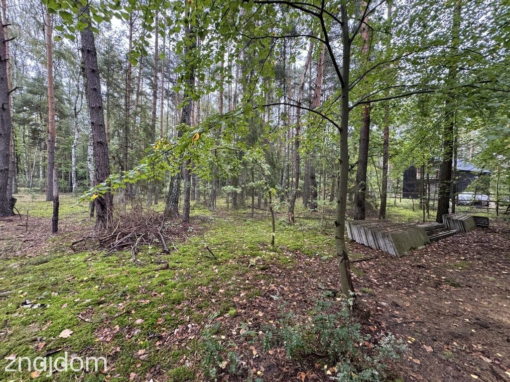 Twoje prywatne grzyby Działka 1993 m² Nowy Adamów - zdjęcie 2