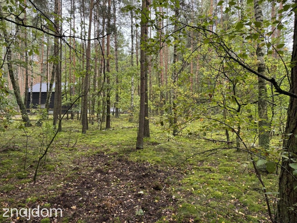 Twoje prywatne grzyby Działka 1993 m² Nowy Adamów - zdjęcie 17