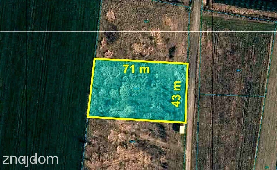 Działka 3000m2 z pozwoleniem na budowę Kazimierz - zdjęcie 2