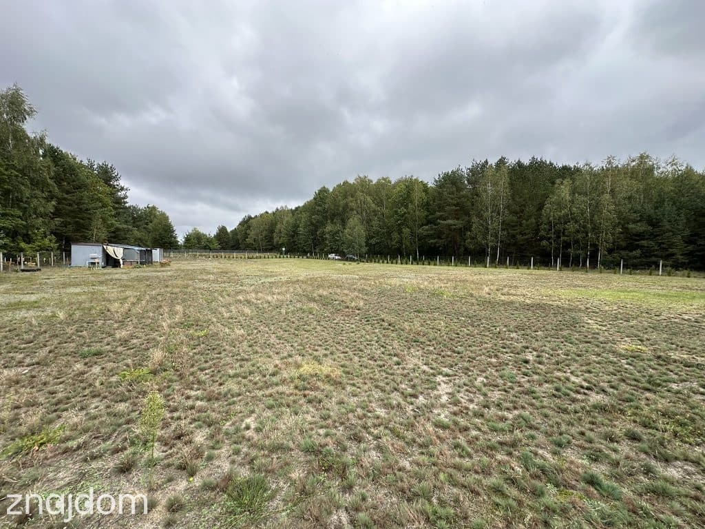 Działka 3400 m², las, zalew, ogrodzona - zdjęcie 11
