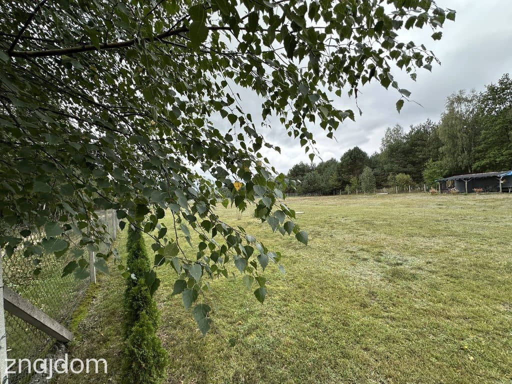 Działka 3400 m², las, zalew, ogrodzona - zdjęcie 14
