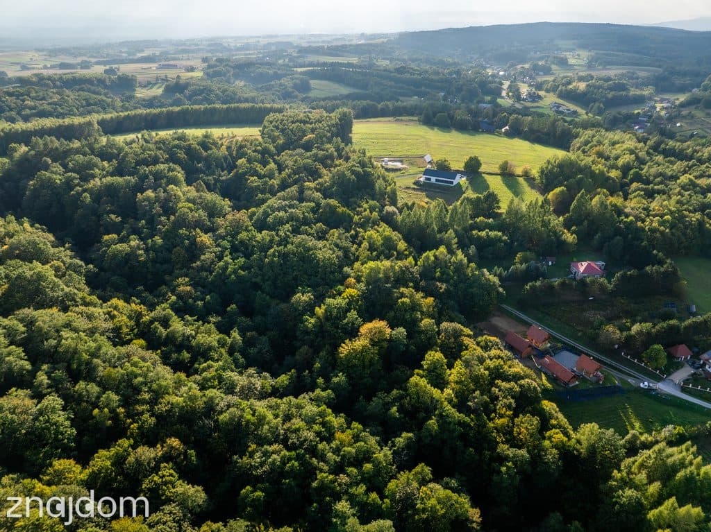 LAS Z POTENCJAŁEM – 1,4028 HA W NIEPLI POD JASŁEM - zdjęcie 2