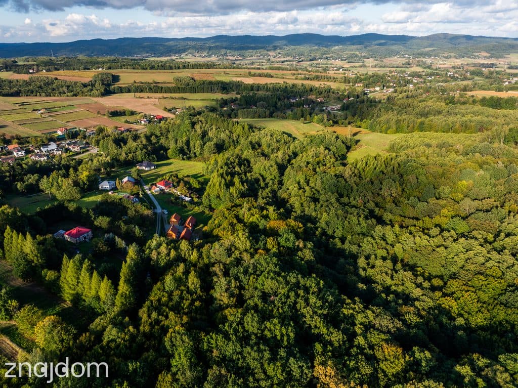 LAS Z POTENCJAŁEM – 1,4028 HA W NIEPLI POD JASŁEM - zdjęcie 4