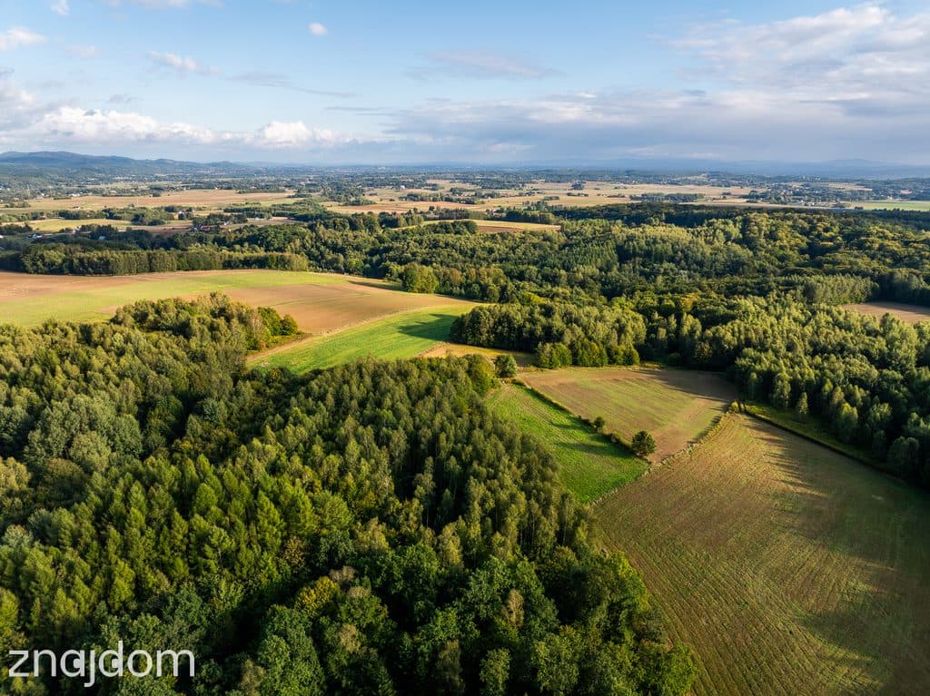 LAS Z POTENCJAŁEM – 1,4028 HA W NIEPLI POD JASŁEM