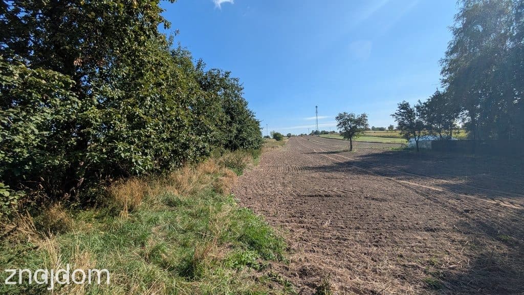 Siedlisko 35 arów z zabudowaniami | Mełgiew - zdjęcie 7