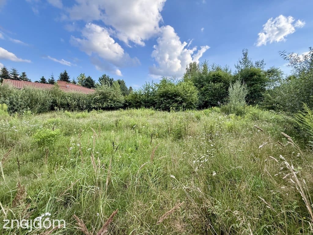 Bukowiec: Działka 1404m2 , z WZ i pięknym Planem Ogólnym - zdjęcie 5
