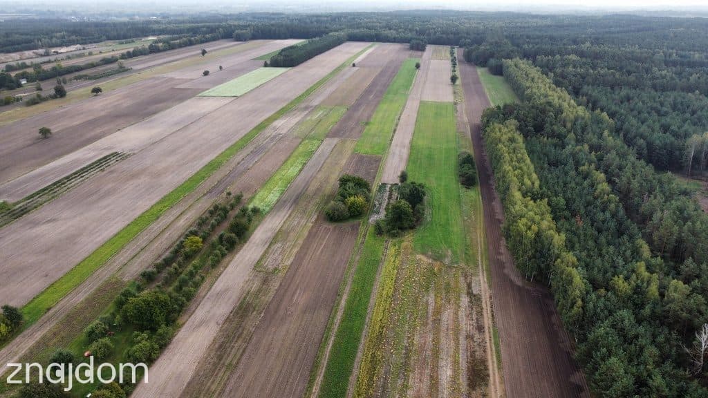 Dom 89 m² + 17 arów + garaż | Baranów - zdjęcie 19