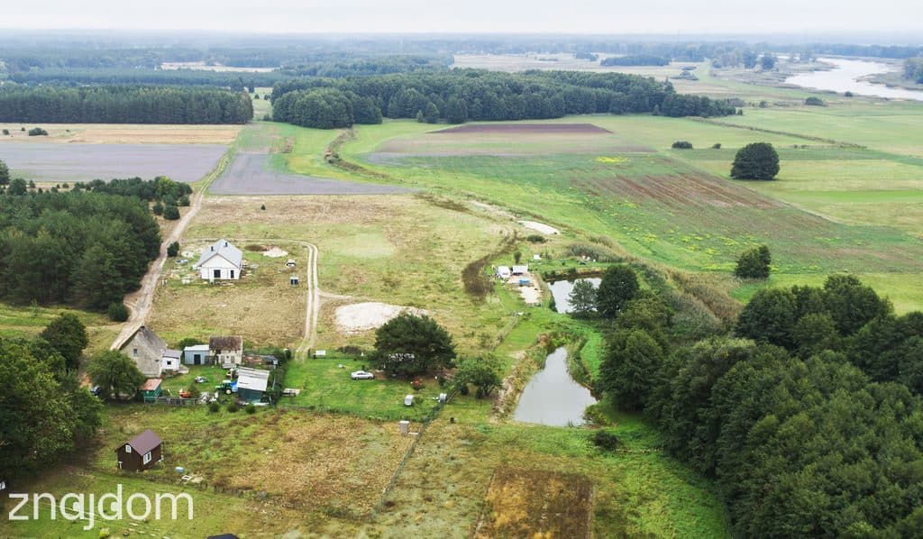 Własny staw ! Działka 4315 m² z MPZP - zdjęcie 5