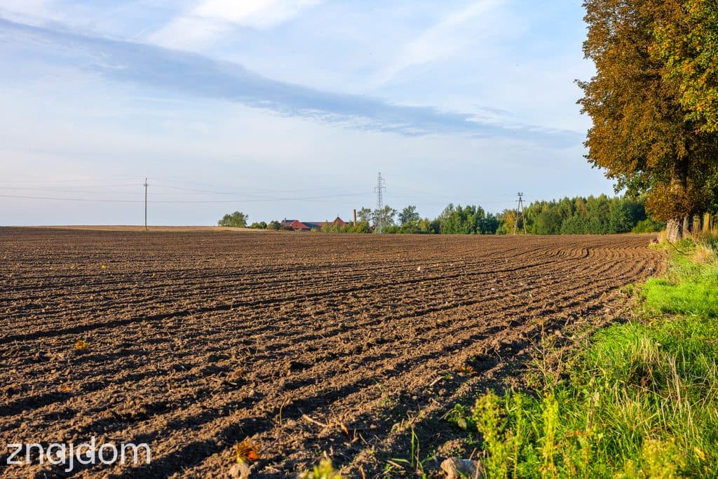 Działka z potencjałem – Sławno | Bobrowiczki - zdjęcie 2