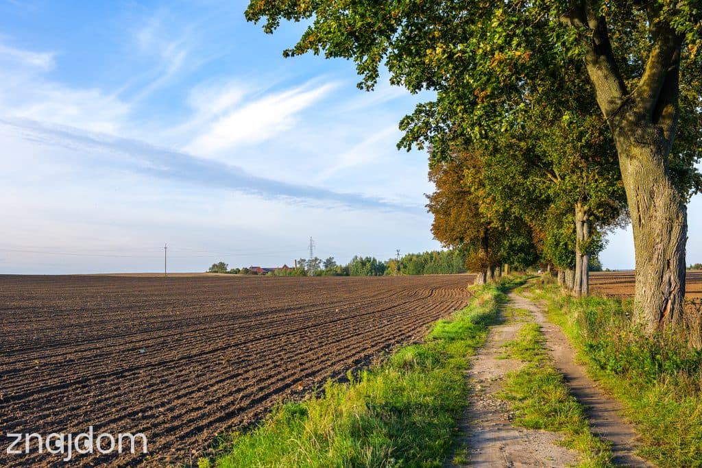 Działka z potencjałem – Sławno | Bobrowiczki - zdjęcie 6