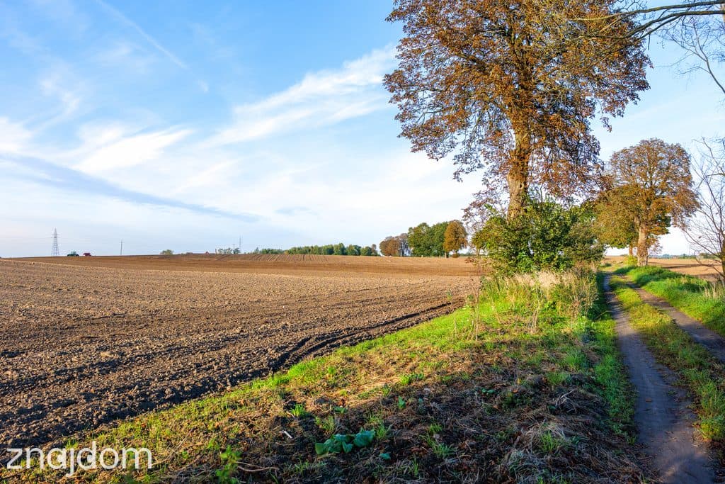 Działka z potencjałem – Sławno | Bobrowiczki - zdjęcie 7