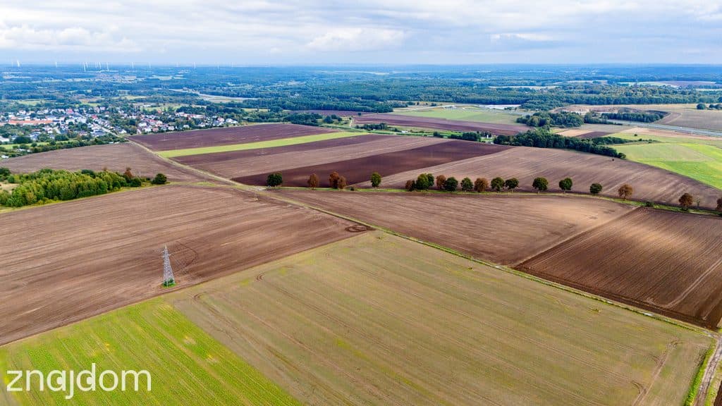 Działka z potencjałem – Sławno | Bobrowiczki - zdjęcie 10