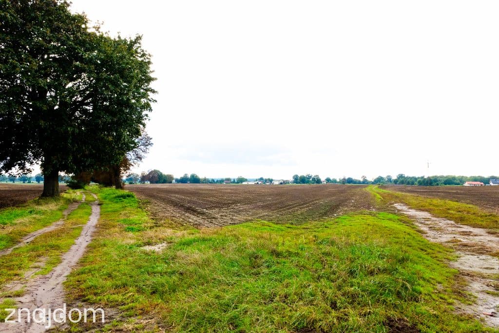 Działka z potencjałem – Sławno | Bobrowiczki - zdjęcie 11
