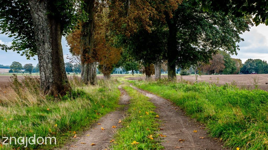 Działka z potencjałem – Sławno | Bobrowiczki - zdjęcie 19