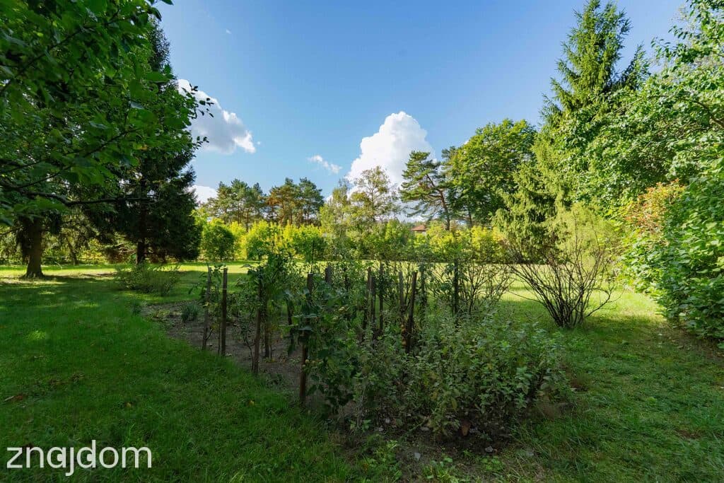 Działka budowlana Tanowo - 1266 m2 woda, prąd, gaz - zdjęcie 9