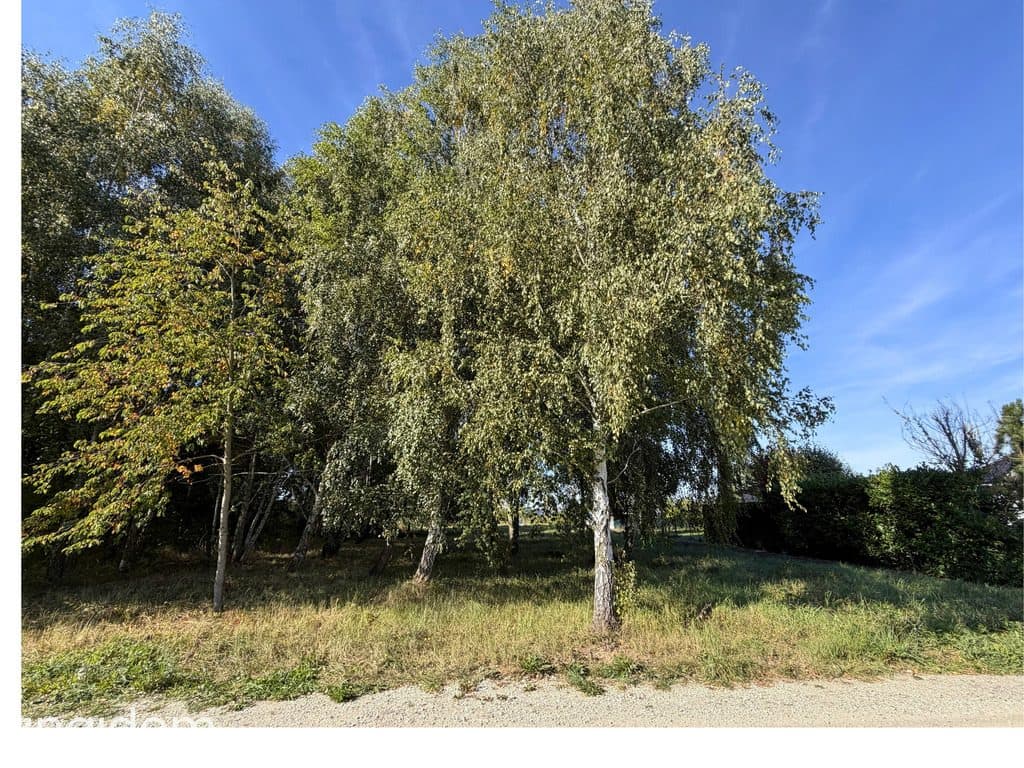 Sady pod Poznaniem działka 1544 m2 | MPZP - zdjęcie 7