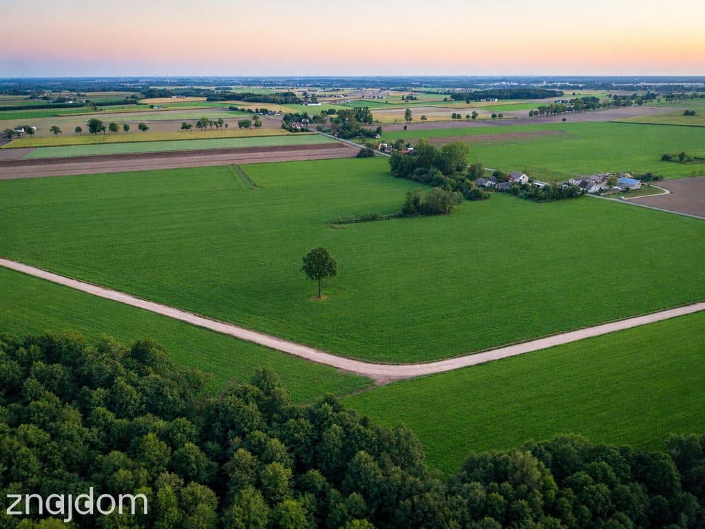 14 działek 5 minut od Jeziora Lubieńskiego | 1000-1499 m2