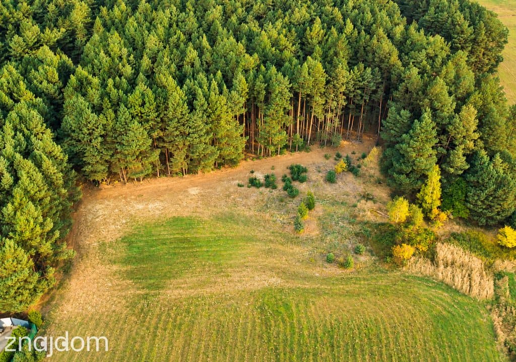 1,78 ha – potencjał na 12–14 działek i zysk - zdjęcie 10