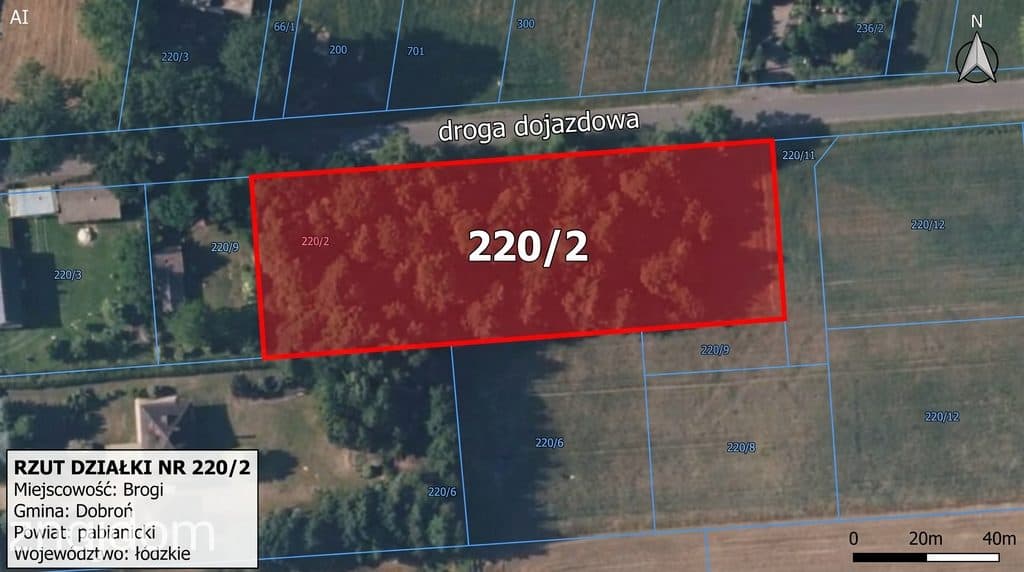Działka budowlana 3000 m² | Brogi k. Ldzania | WZ | Dolina Grabi - zdjęcie 2
