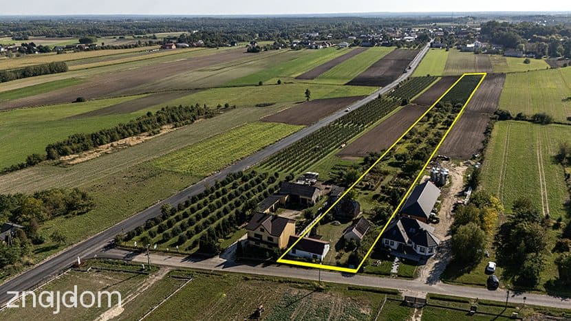 Cisza, spokój i własny sad - zdjęcie 14