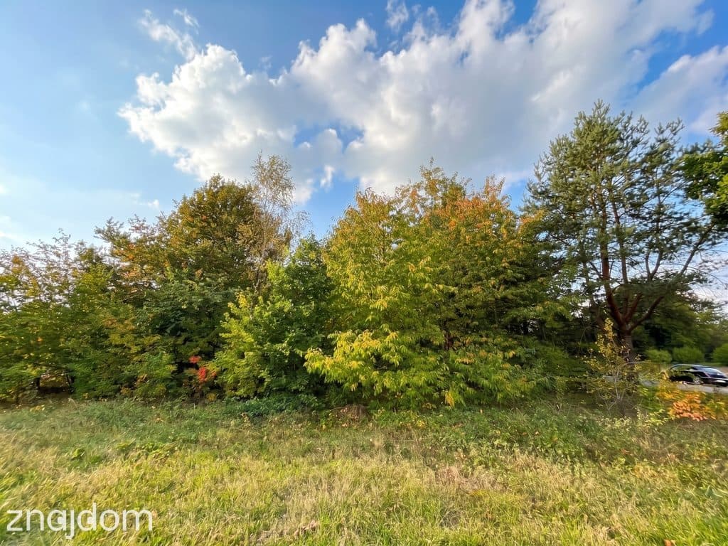 Działka budowlana 3000 m² | Brogi k. Ldzania | WZ | Dolina Grabi - zdjęcie 6
