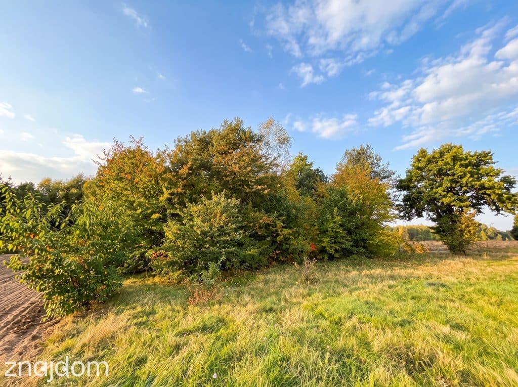 Działka budowlana 3000 m² | Brogi k. Ldzania | WZ | Dolina Grabi - zdjęcie 11