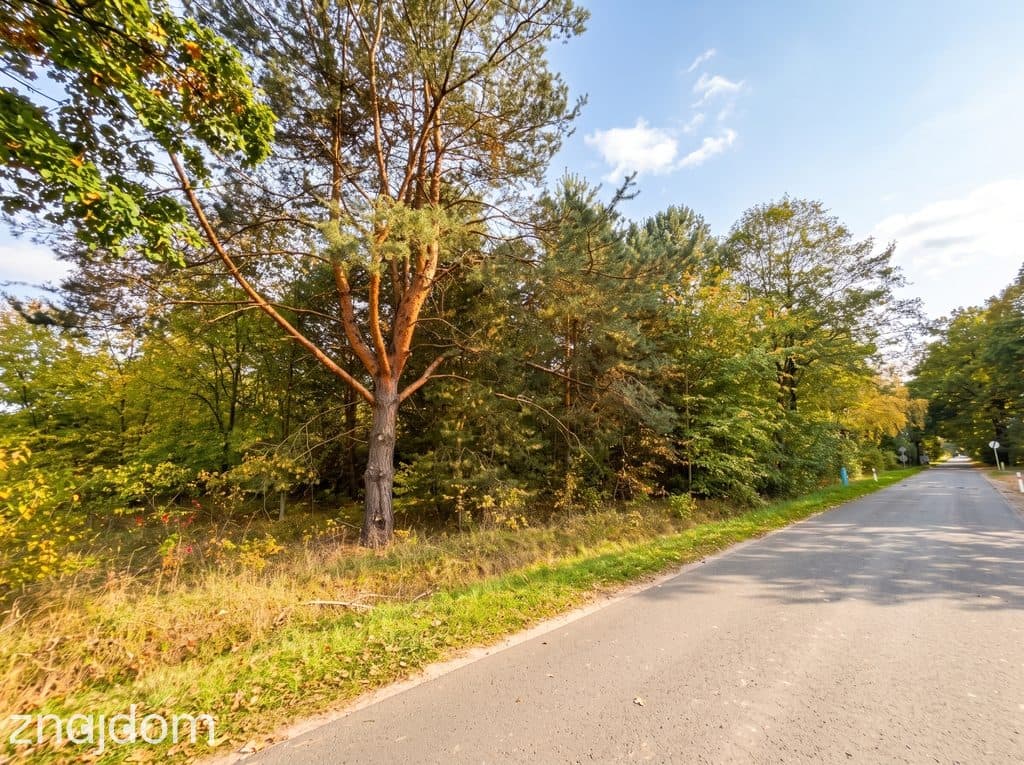 Działka budowlana 3000 m² | Brogi k. Ldzania | WZ | Dolina Grabi - zdjęcie 7