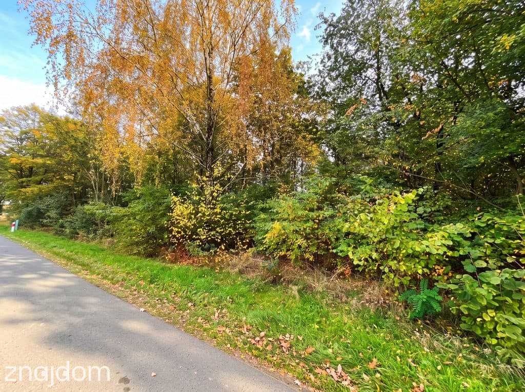 Działka budowlana 3000 m² | Brogi k. Ldzania | WZ | Dolina Grabi - zdjęcie 10