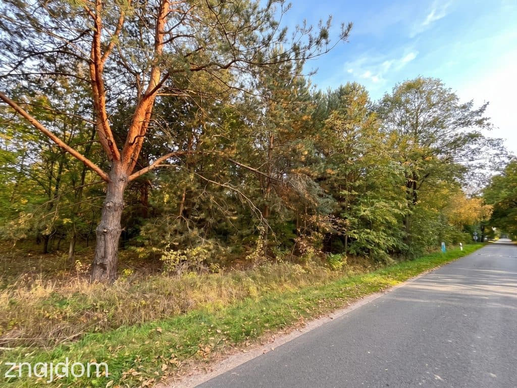 Działka budowlana 3000 m² | Brogi k. Ldzania | WZ | Dolina Grabi - zdjęcie 9