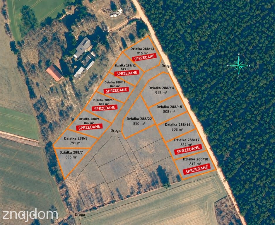Widok na las, 5 min od miasta
