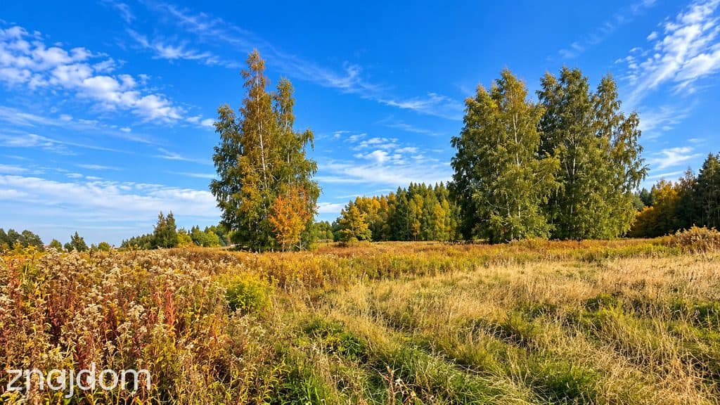 Szymaki | 3001 m² | Pod dom jednorodzinny - zdjęcie 2