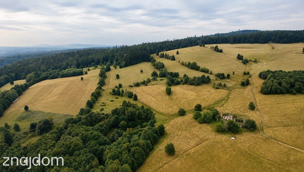 12,46 ha w górach. Twoja własna samotnia! - zdjęcie 5