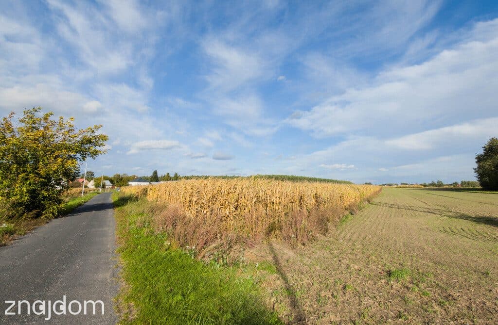 Jagiełła: Działka 2172 m² z WZ! - zdjęcie 6