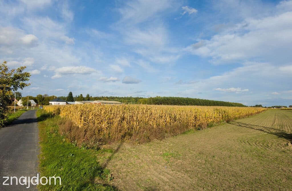 Jagiełła: Działka 2172 m² z WZ! - zdjęcie 5
