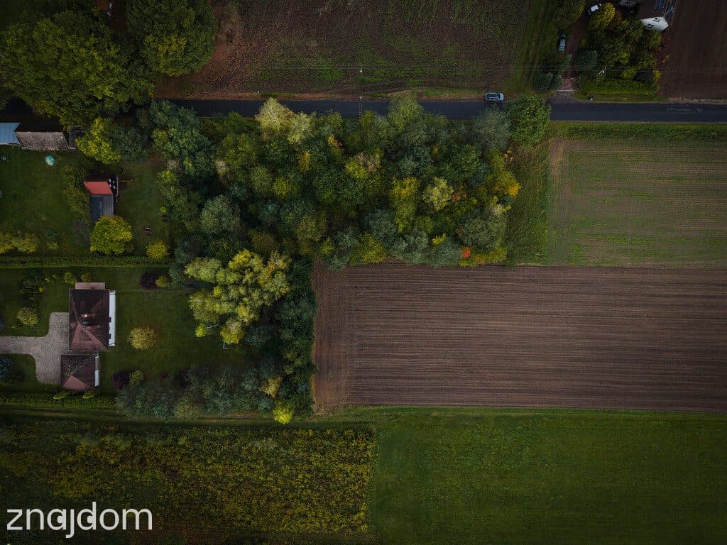 Działka budowlana 3000 m² | Brogi k. Ldzania | WZ | Dolina Grabi