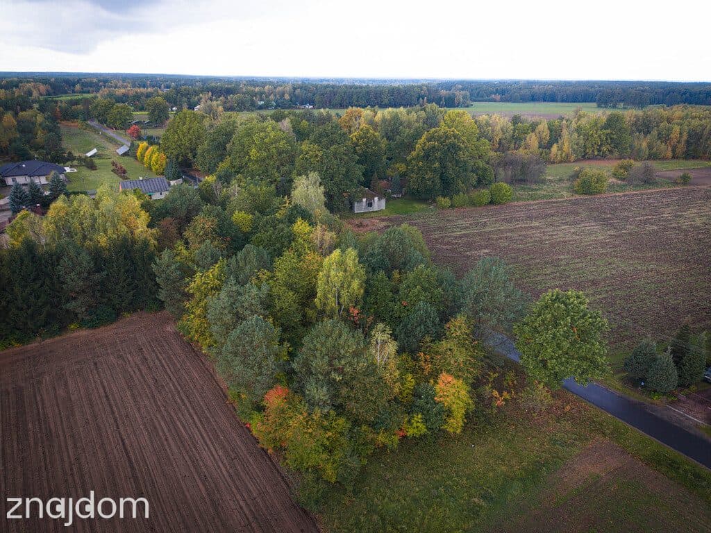 Działka budowlana 3000 m² | Brogi k. Ldzania | WZ | Dolina Grabi - zdjęcie 3