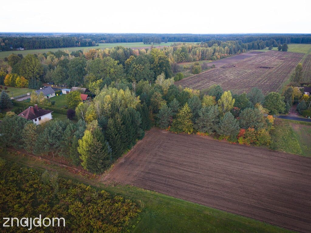 Działka budowlana 3000 m² | Brogi k. Ldzania | WZ | Dolina Grabi - zdjęcie 19