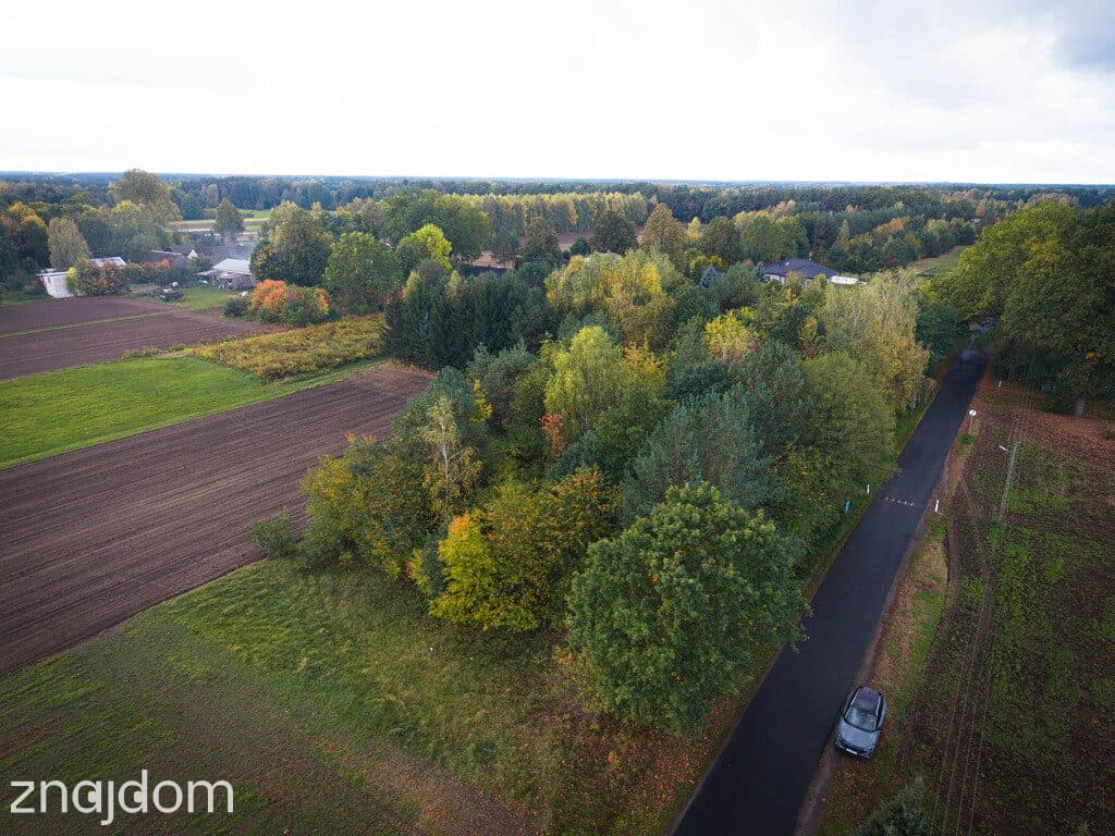 Działka budowlana 3000 m² | Brogi k. Ldzania | WZ | Dolina Grabi - zdjęcie 12