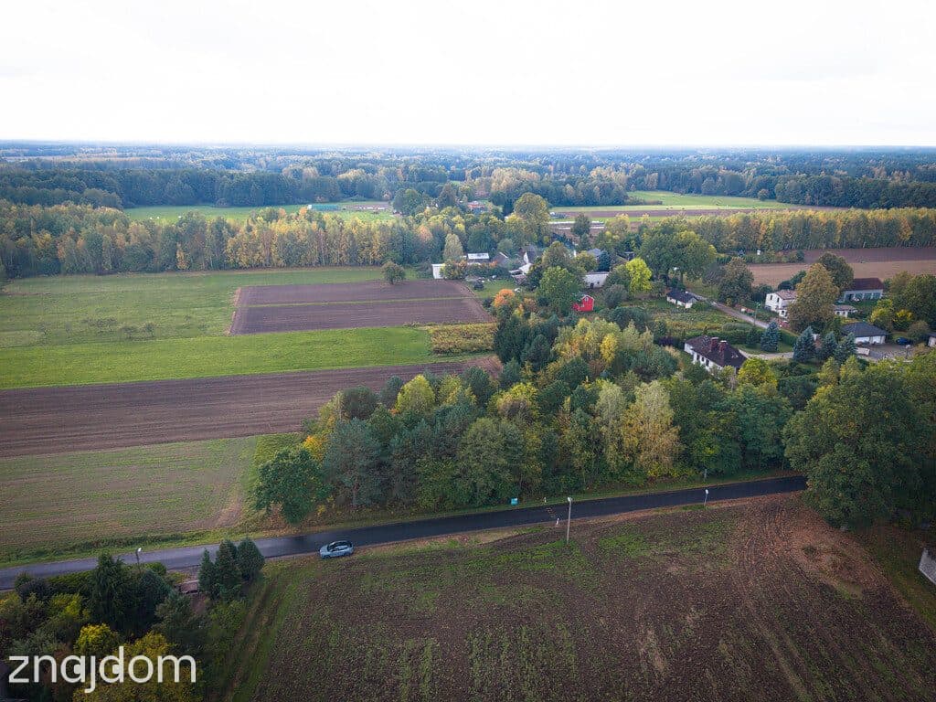 Działka budowlana 3000 m² | Brogi k. Ldzania | WZ | Dolina Grabi - zdjęcie 5