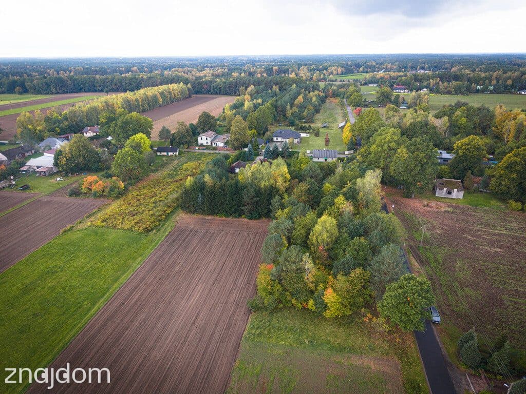 Działka budowlana 3000 m² | Brogi k. Ldzania | WZ | Dolina Grabi - zdjęcie 17