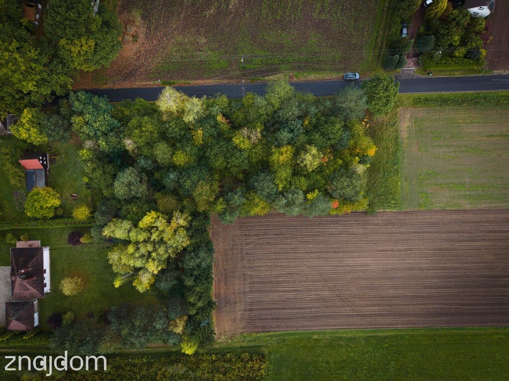 Działka budowlana 3000 m² | Brogi k. Ldzania | WZ | Dolina Grabi - zdjęcie 14