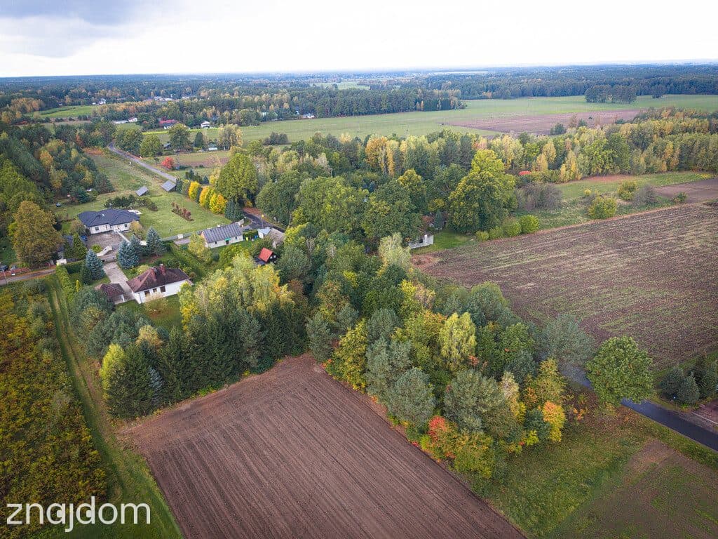 Działka budowlana 3000 m² | Brogi k. Ldzania | WZ | Dolina Grabi - zdjęcie 15