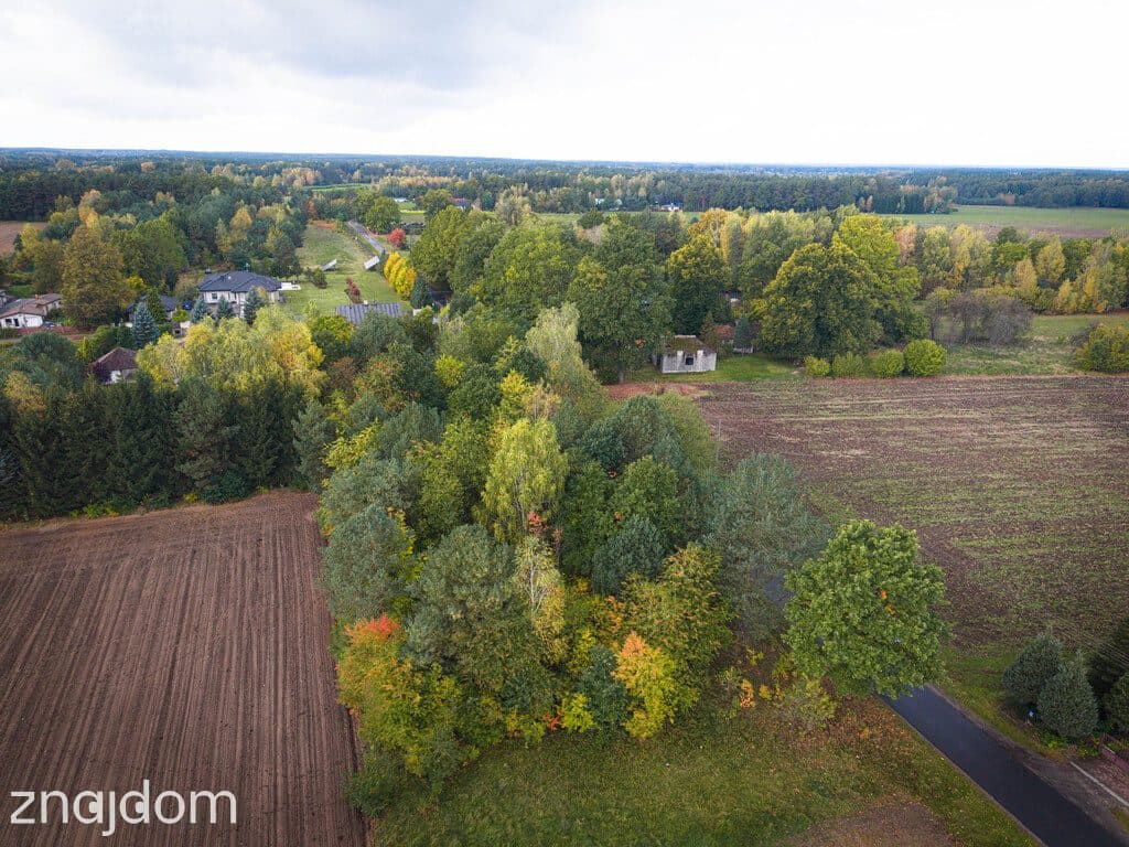 Działka budowlana 3000 m² | Brogi k. Ldzania | WZ | Dolina Grabi - zdjęcie 13